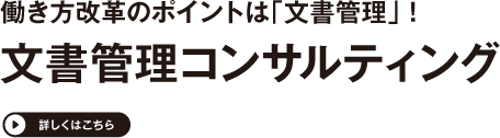 文書管理コンサルティング